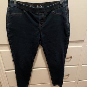 Style  & Co XL Jegging Jeans